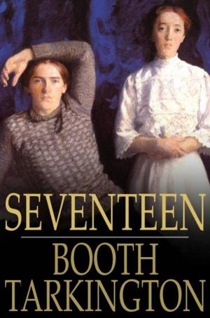 Cover of the book Seventeen by Amanda Minnie Douglas