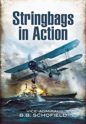 Cover of the book Stringbags in Action by Jackson, Robert