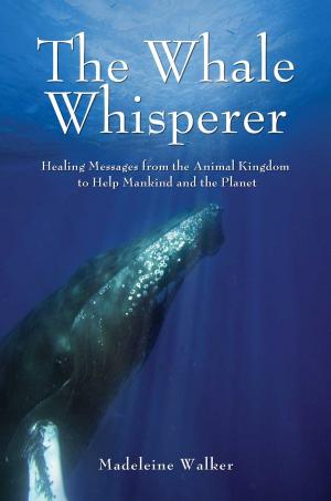 Cover of the book The Whale Whisperer by Theodor Stöckmann