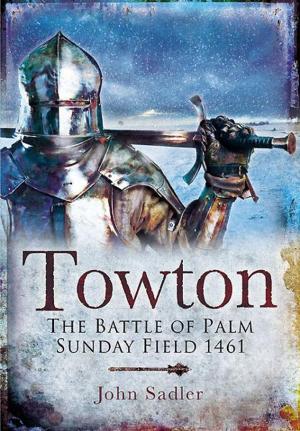 Book cover of Towton: The Battle of Palm Sunday Field