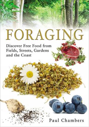 bigCover of the book Foraging by 