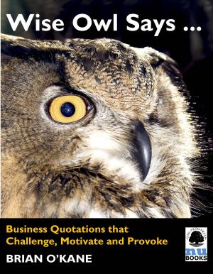 Cover of the book Wise Owl Says ...: Business Quotations that Challenge, Motivate and Provoke by Justin Doran, Jane Bourke, Ann Kirby