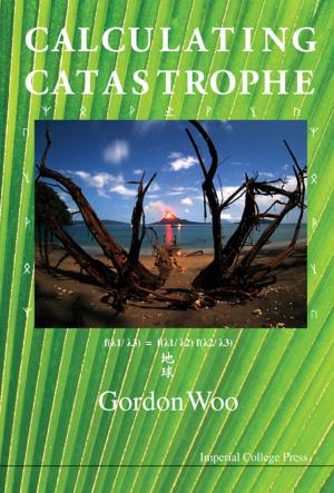 Cover of the book Calculating Catastrophe by Glen E Fryxell, Guozhong Cao