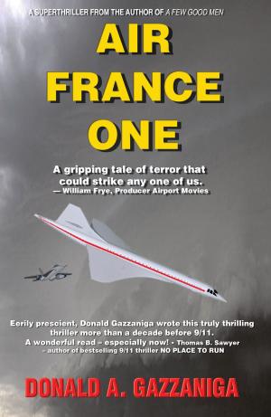 Cover of the book Air France One by Lisa M. Lilly