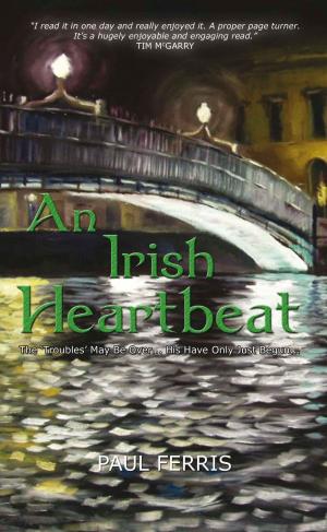 Cover of the book An Irish Heartbeat by Ruphina Folayemi Ojo Adesan