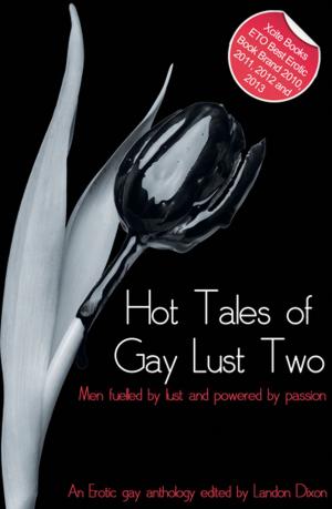 Cover of the book Hot Tales of Gay Lust Two by Monica Belle