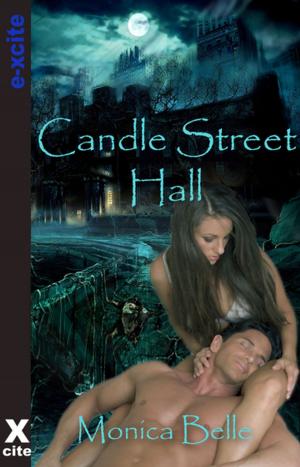 Cover of the book Candle Street Hall by Toni Sands