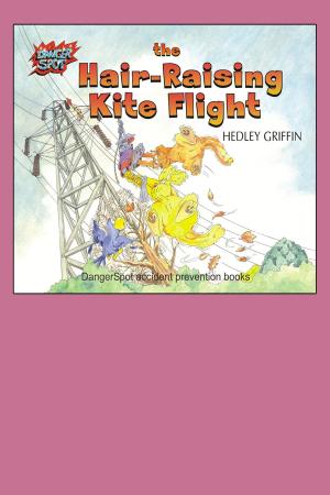 bigCover of the book The Hair-Raising Kite Flight by 