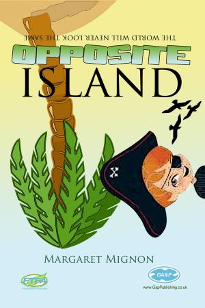 Cover of the book Opposite Island by Geoff Chaucer
