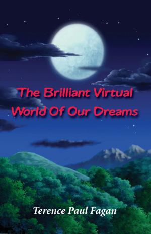Book cover of The Brilliant Virtual World of Our Dreams