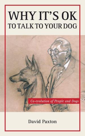 Cover of the book Why It's OK to Talk to Your Dog by Cynthia Lindenmayer