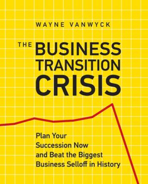 Cover of the book The Business Transition Crisis by Brandon Christy CPA PFS