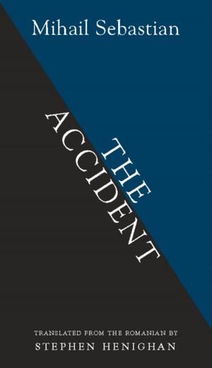 Cover of the book The Accident by Leonid Andreïev