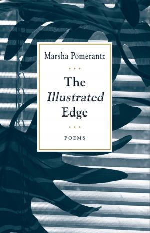 Cover of the book The Illustrated Edge by Anakana Schofield