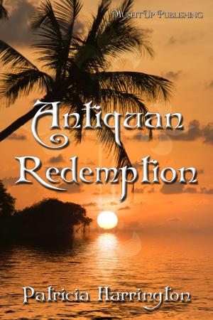 Cover of the book Antiguan Redemption by Jessica Kylie Nichols-Vernon