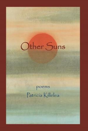Cover of the book Other Suns by Weylan Tiankong