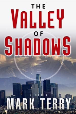 Cover of the book The Valley of Shadows by David Putnam