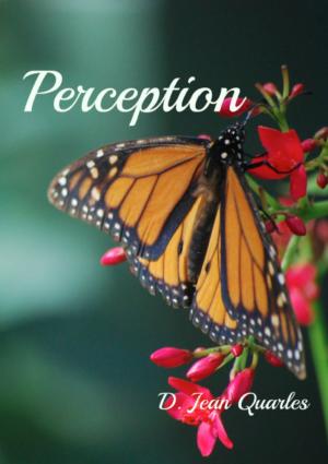 Cover of the book Perception by Robin Covington