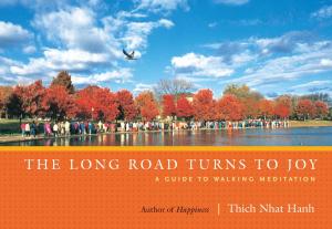 Book cover of The Long Road Turns to Joy