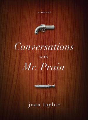 Cover of the book Conversations With Mr. Prain by Wolf Haas