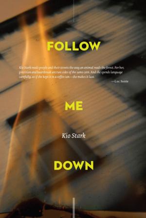 Cover of Follow Me Down
