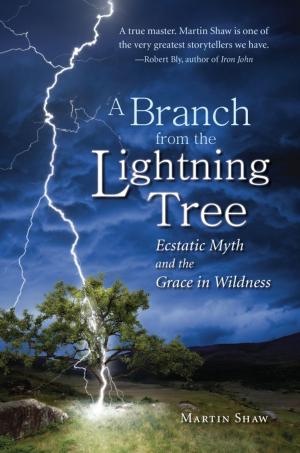 Cover of the book A Branch from the Lightning Tree by Martin Shaw