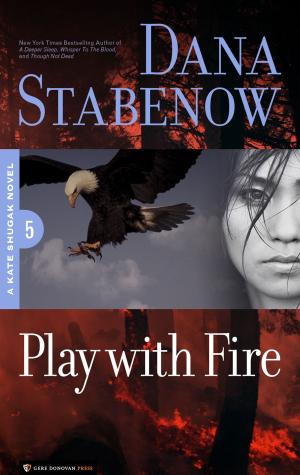Cover of the book Play With Fire by Steve Alten