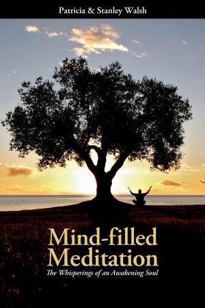 Book cover of Mind-filled Meditation: The Whisperings of an Awakening Soul