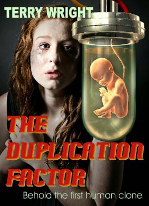 Cover of the book The Duplication Factor by Stephan A. Schwartz