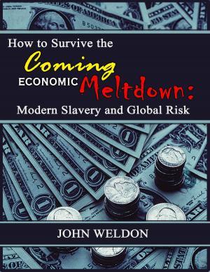 Book cover of How to Survive the Coming Economic Meltdown