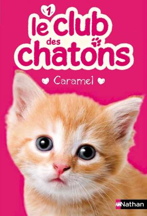 Cover of the book Caramel by Hervé Mestron
