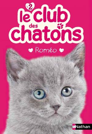 Cover of the book Roméo by Roger Valtat, Danièle Bon, Pascal Tuccinardi