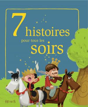 Cover of the book 7 histoires pour tous les soirs by Claire Renaud, Vincent Villeminot