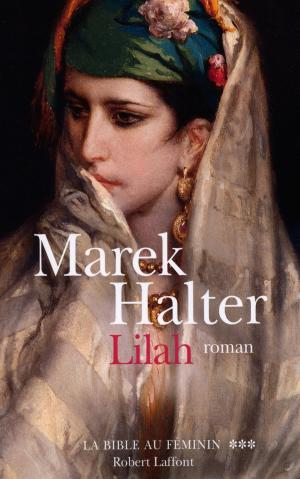 Cover of the book Lilah by Jean-Marie ROUART