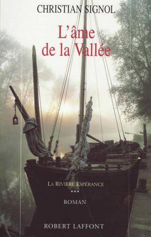 Cover of the book L'Âme de la vallée by Patrick FLANERY, Alexis SALATKO, Pauline GUÉNA, Jean d' ORMESSON