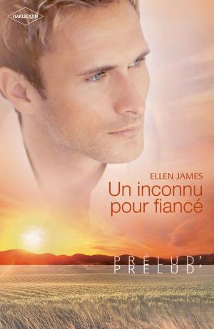 Cover of the book Un inconnu pour fiancé by Michelle Karl