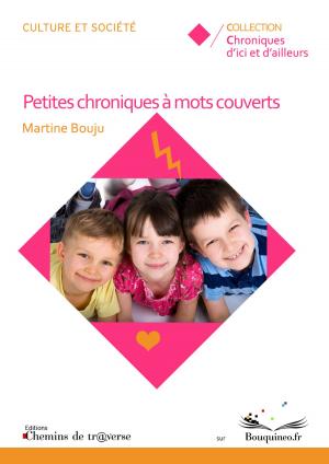 Cover of the book Petites chroniques à mots couverts by Alison Plus