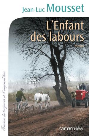 Cover of the book L'Enfant des labours by Karine Le Marchand