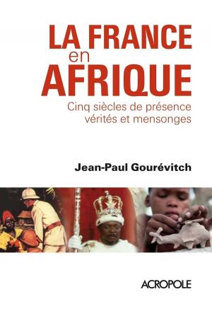 Cover of the book La France en Afrique by LONELY PLANET FR