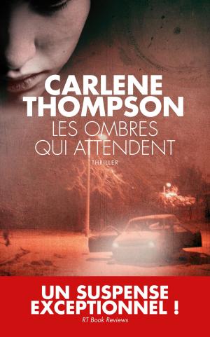 Cover of Les Ombres qui attendent