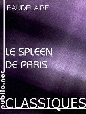 Cover of the book Le Spleen de paris, petits poëmes en prose by Dominique Hasselmann