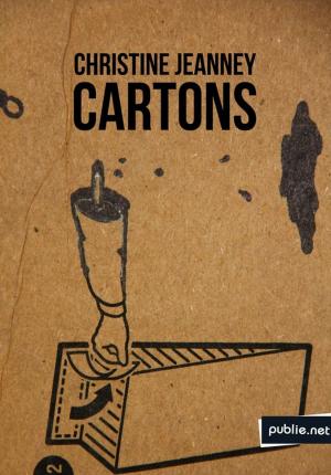 Cover of the book Cartons by Benoît Vincent