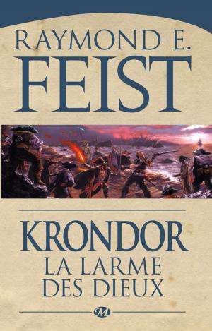 Cover of the book Krondor : la Larme des dieux by Elle J Rossi