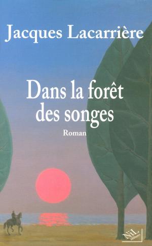 Cover of the book Dans la forêt des songes by Maxence CARON
