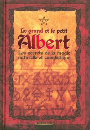 Cover of the book Le grand et le petit Albert by Emmanuelle MASSONAUD
