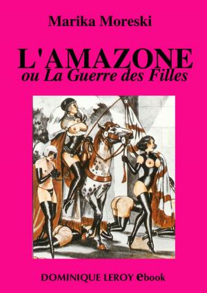 Cover of the book L'Amazone by Zéline Cho