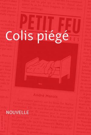 Cover of the book Colis piégé by Chrystine Brouillet