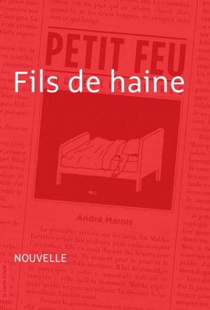 Cover of the book Fils de haine by Sylvie Desrosiers