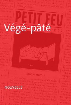 Cover of the book Végé-pâté by Stanley Péan