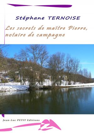 Cover of the book Les secrets de maître Pierre, notaire de campagne by Stéphane Ternoise